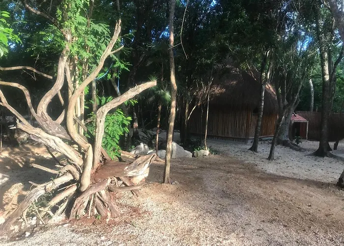Nueve Tulum