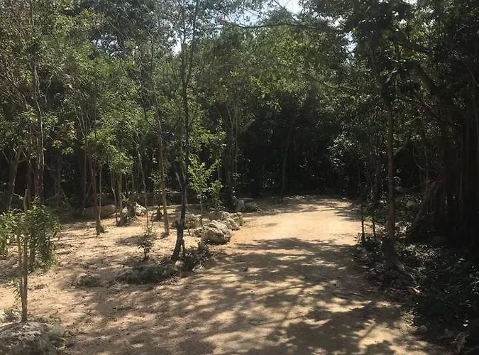 Campsite Nueve *