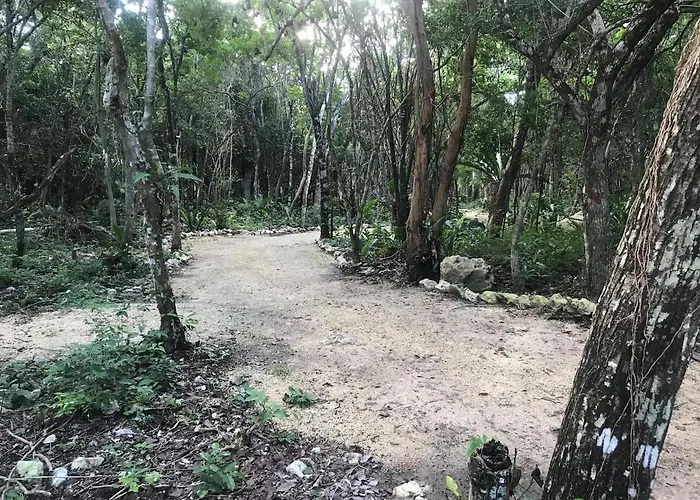 Nueve Tulum